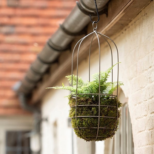 Hanging plant cage - tall