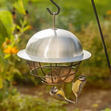 Buy Bird Care Wildlife Delivery By Waitrose Garden In