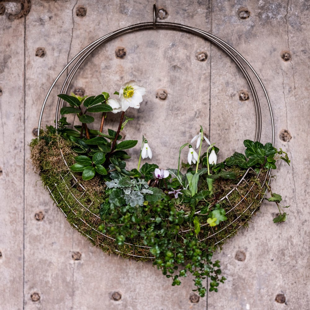 Hanging wreath basket