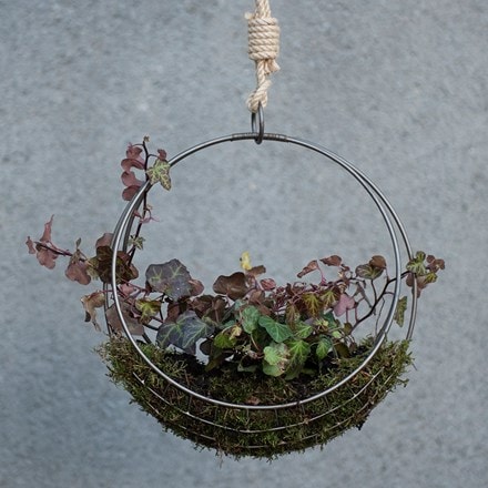 Hanging wreath basket - small