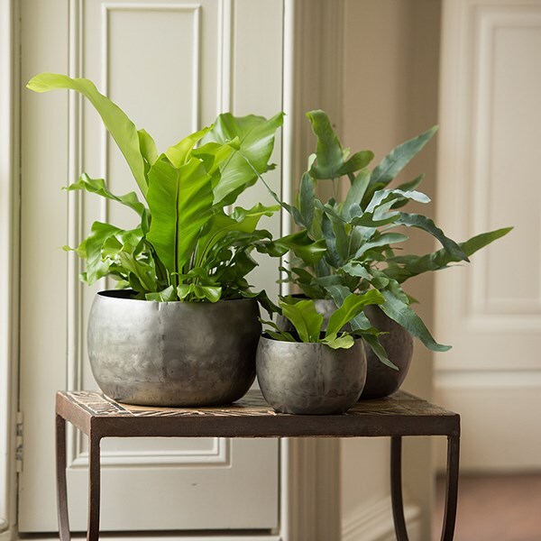 Zinc bowls - set of 3