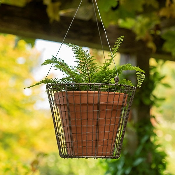 Hanging pot basket