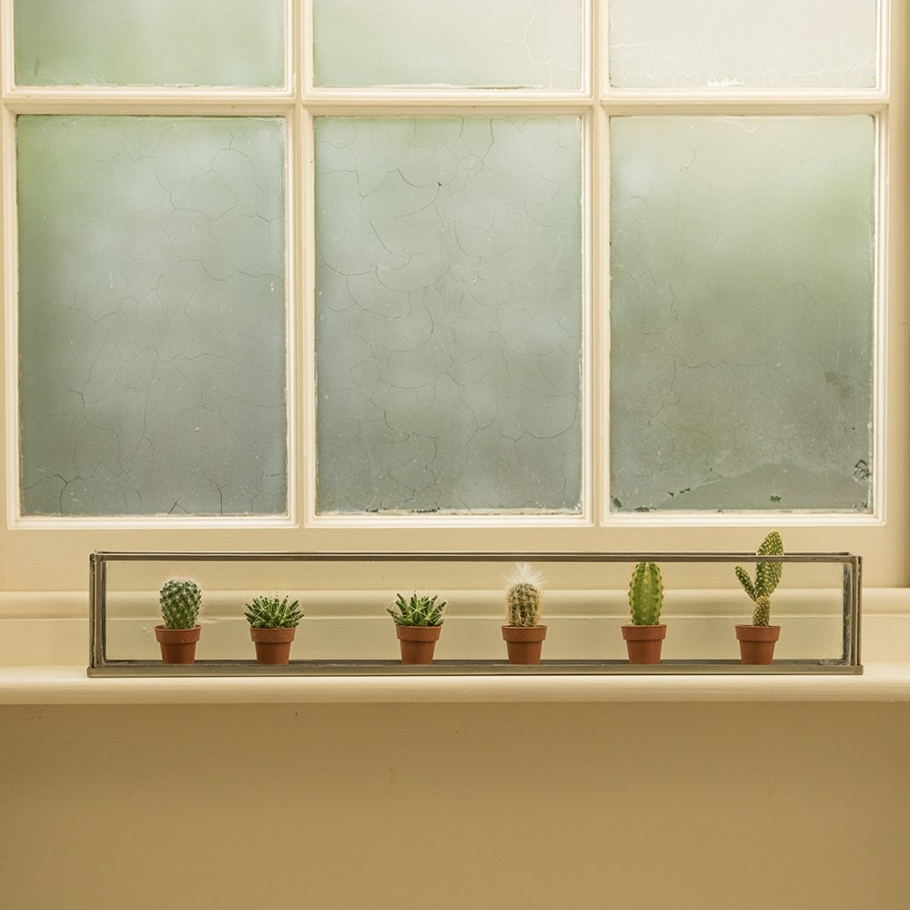 Windowsill terrarium