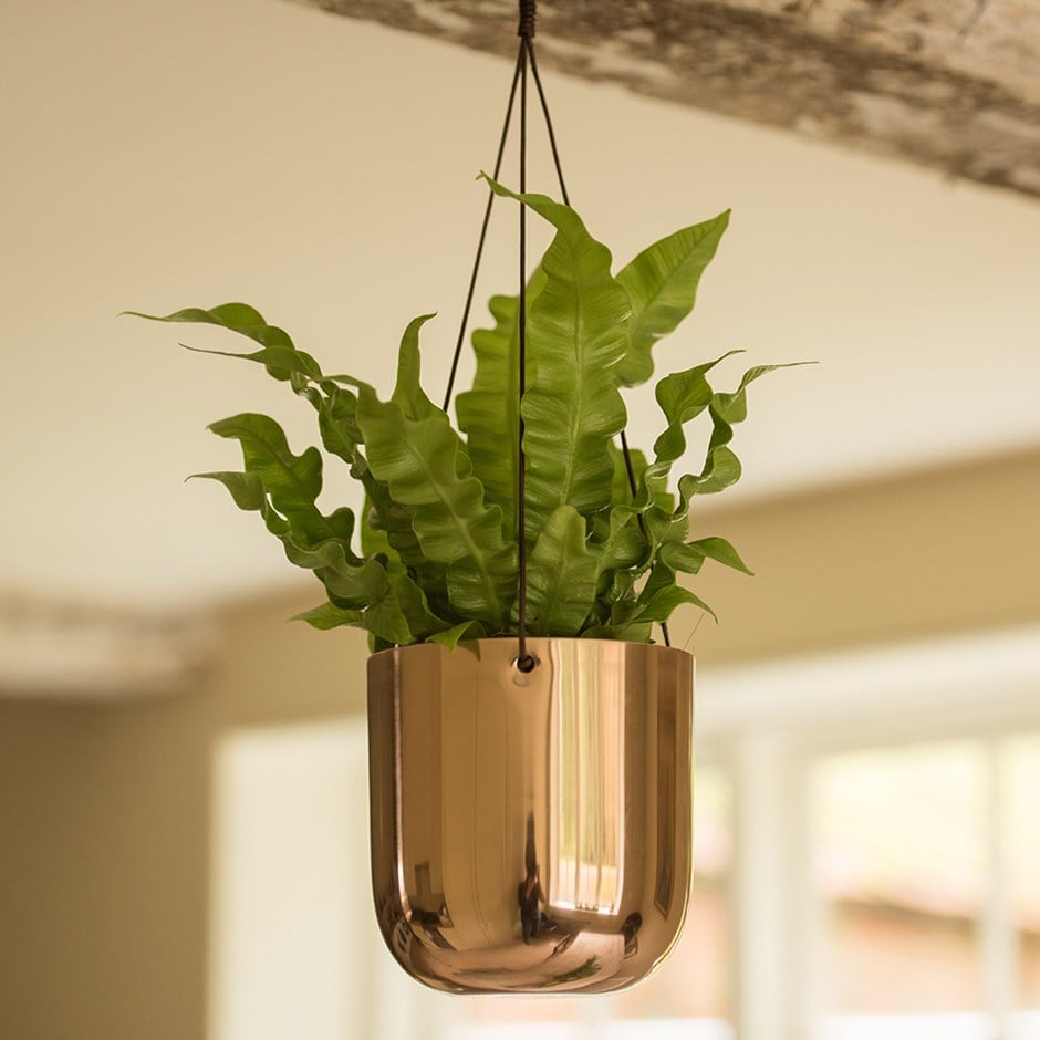 Hanging polished copper pot