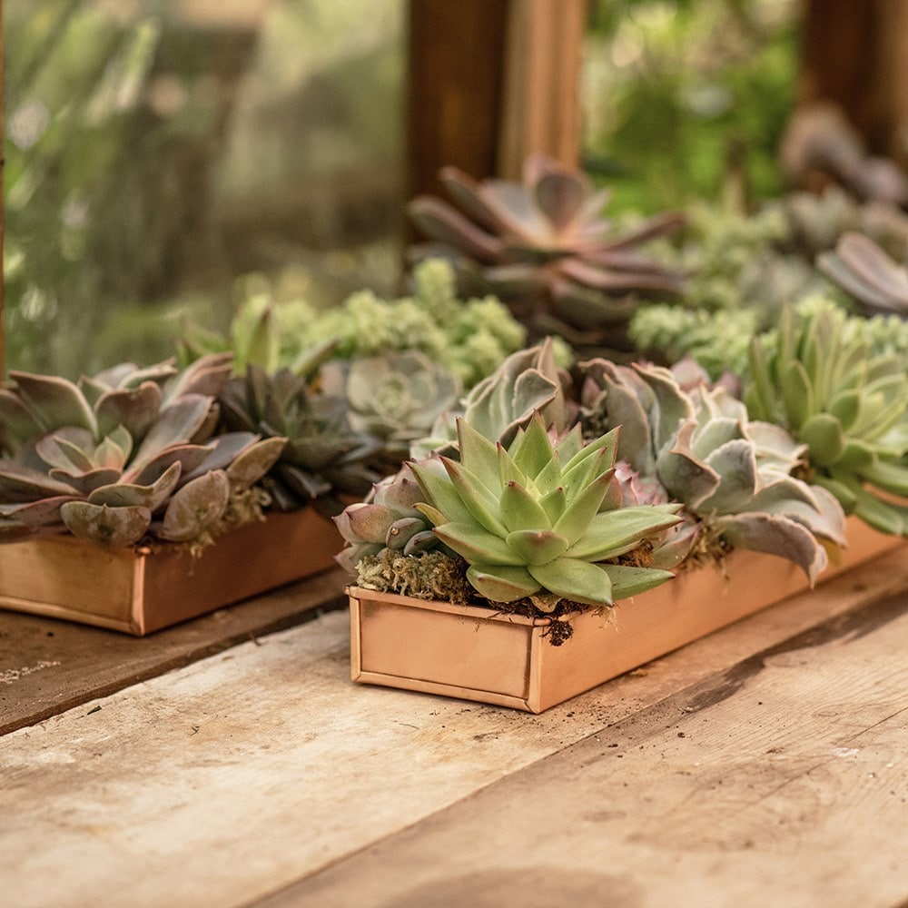 Product options image