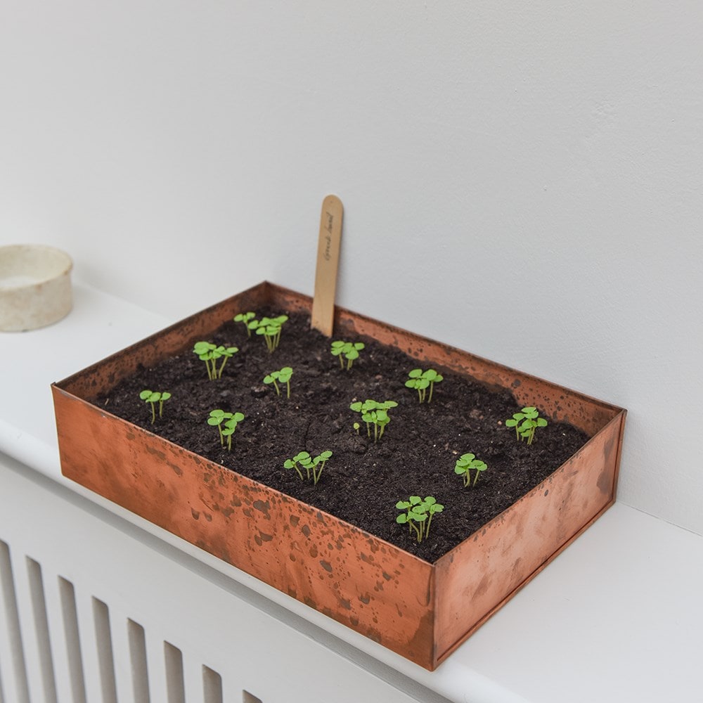 Brushed copper seed tray