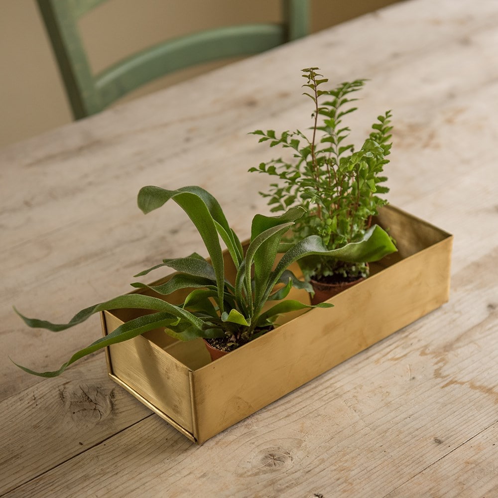 Brushed brass windowsill seed tray