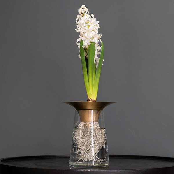 Brass flute hyacinth vase