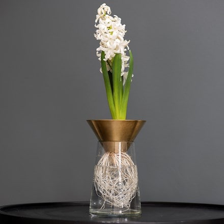 Brass cone hyacinth vase