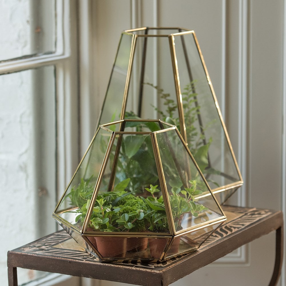 Terrarium with brass base tray