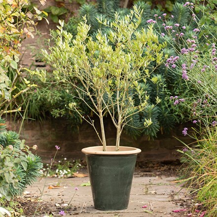 Glazed terracotta pot - ocean green