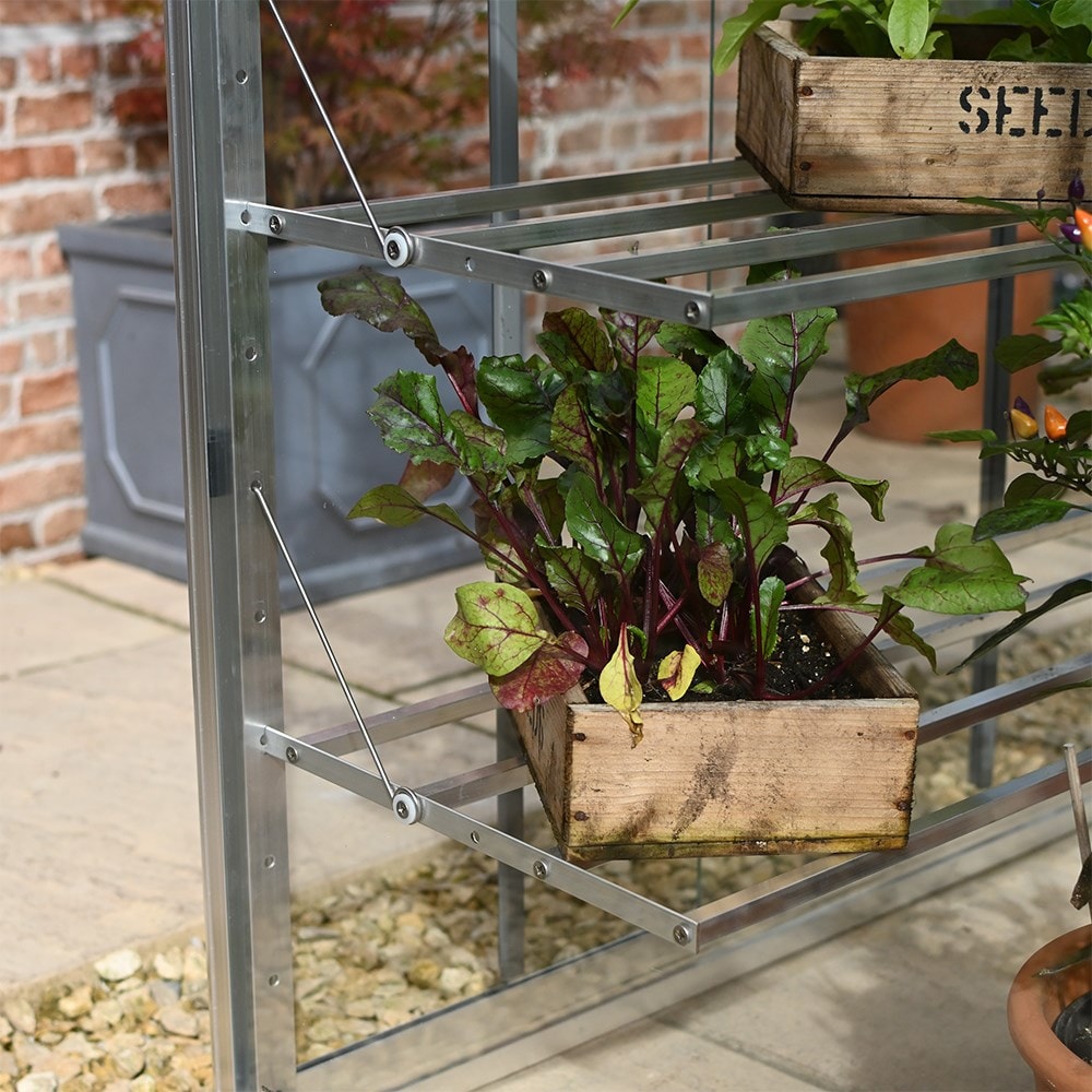 Exbury classic growhouse