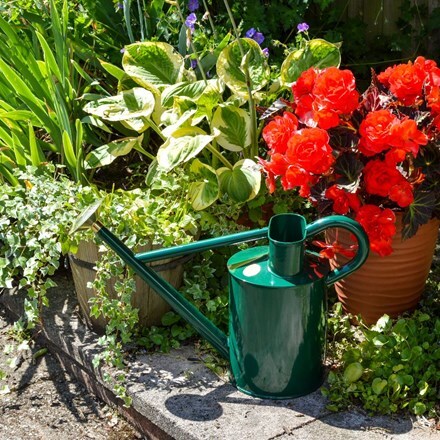 Buy Watering Cans Delivery By Waitrose Garden In Association With