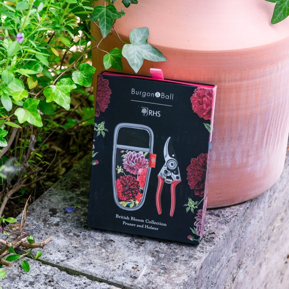 RHS Burgon and Ball British bloom pruner and holster gift set