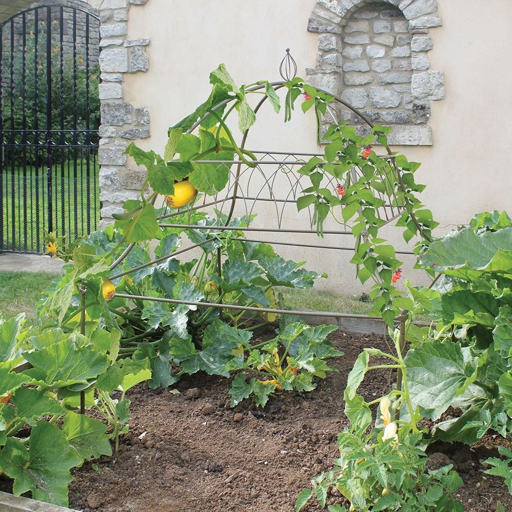 Product options image