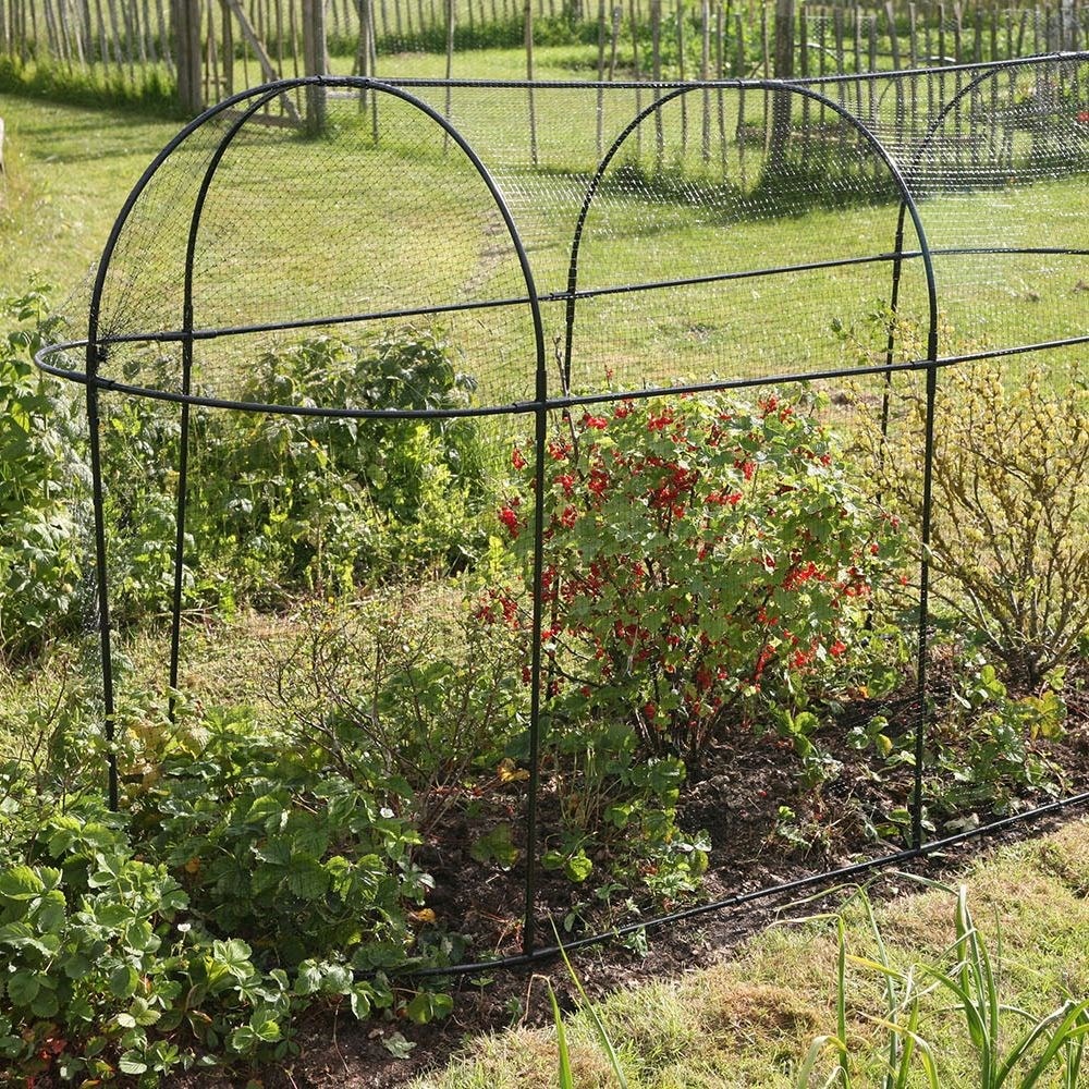 Steel long fruit cage