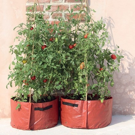 Tomato patio planter