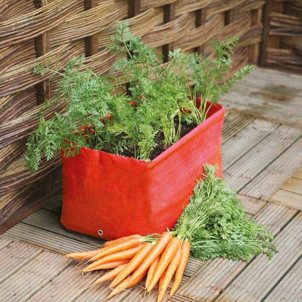 Carrot patio planters - set of 2