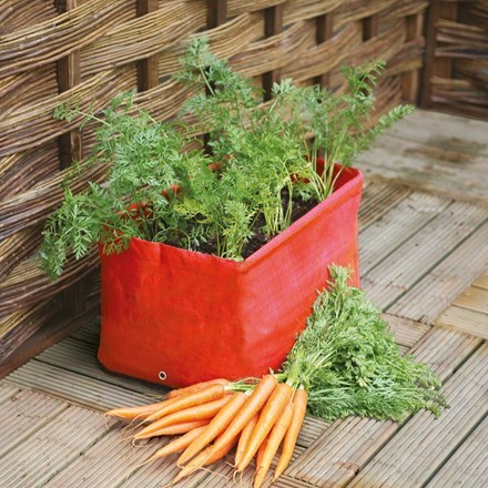 Carrot patio planters - set of 2