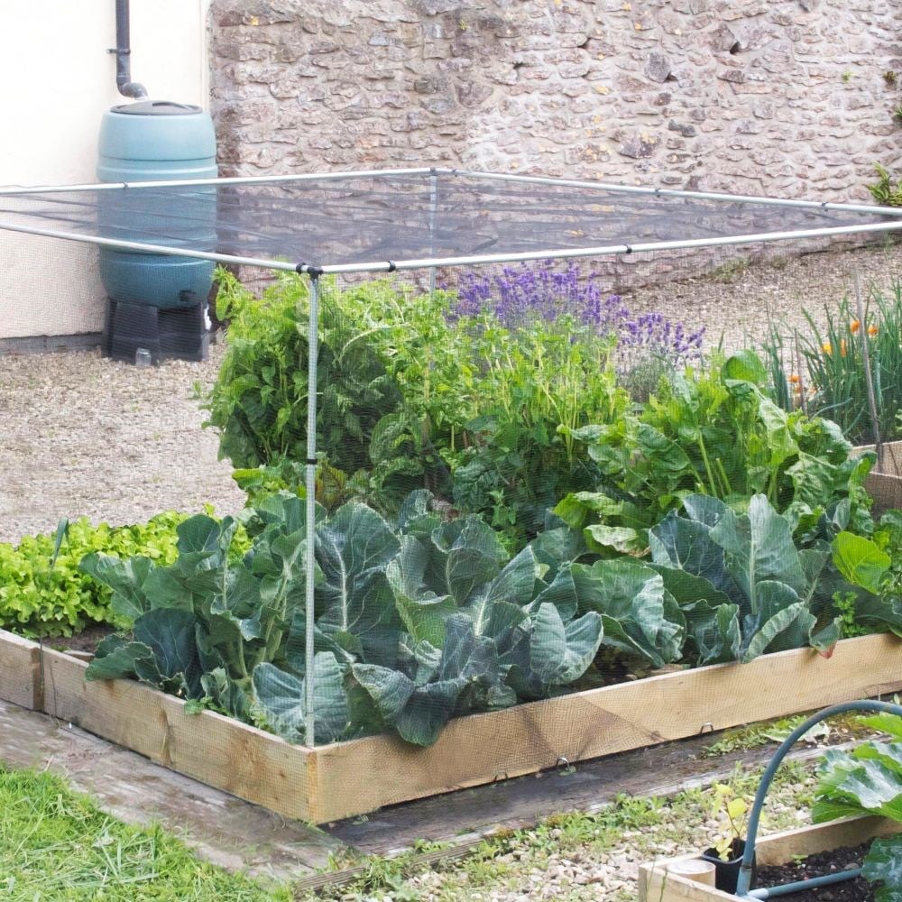 Product options image