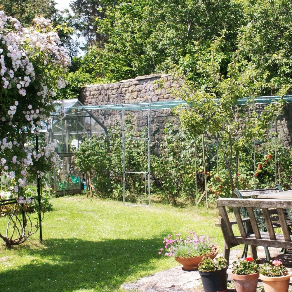 Walk in fruit cage starter kit