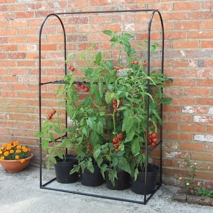 Tomato crop booster frame