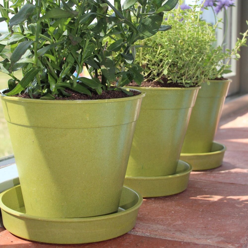 15cm on sale plant pot