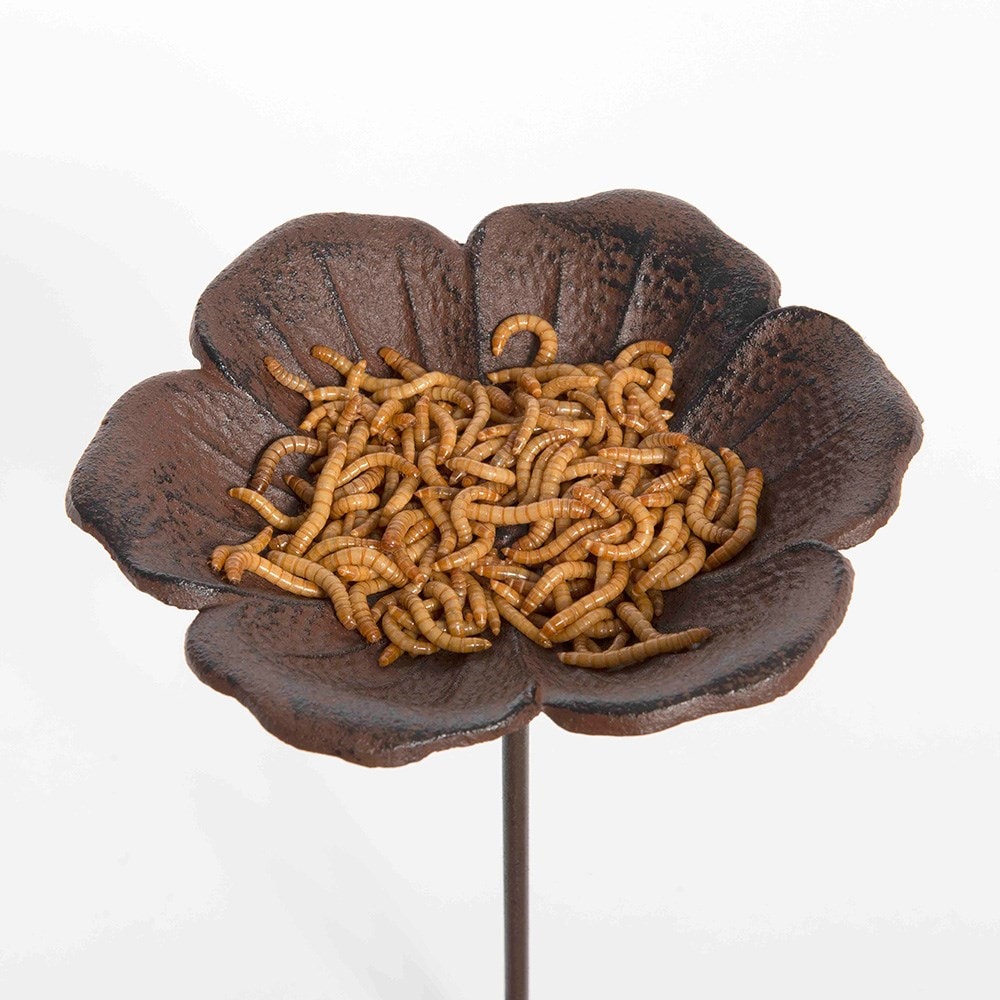 Poppy stake bird feeder