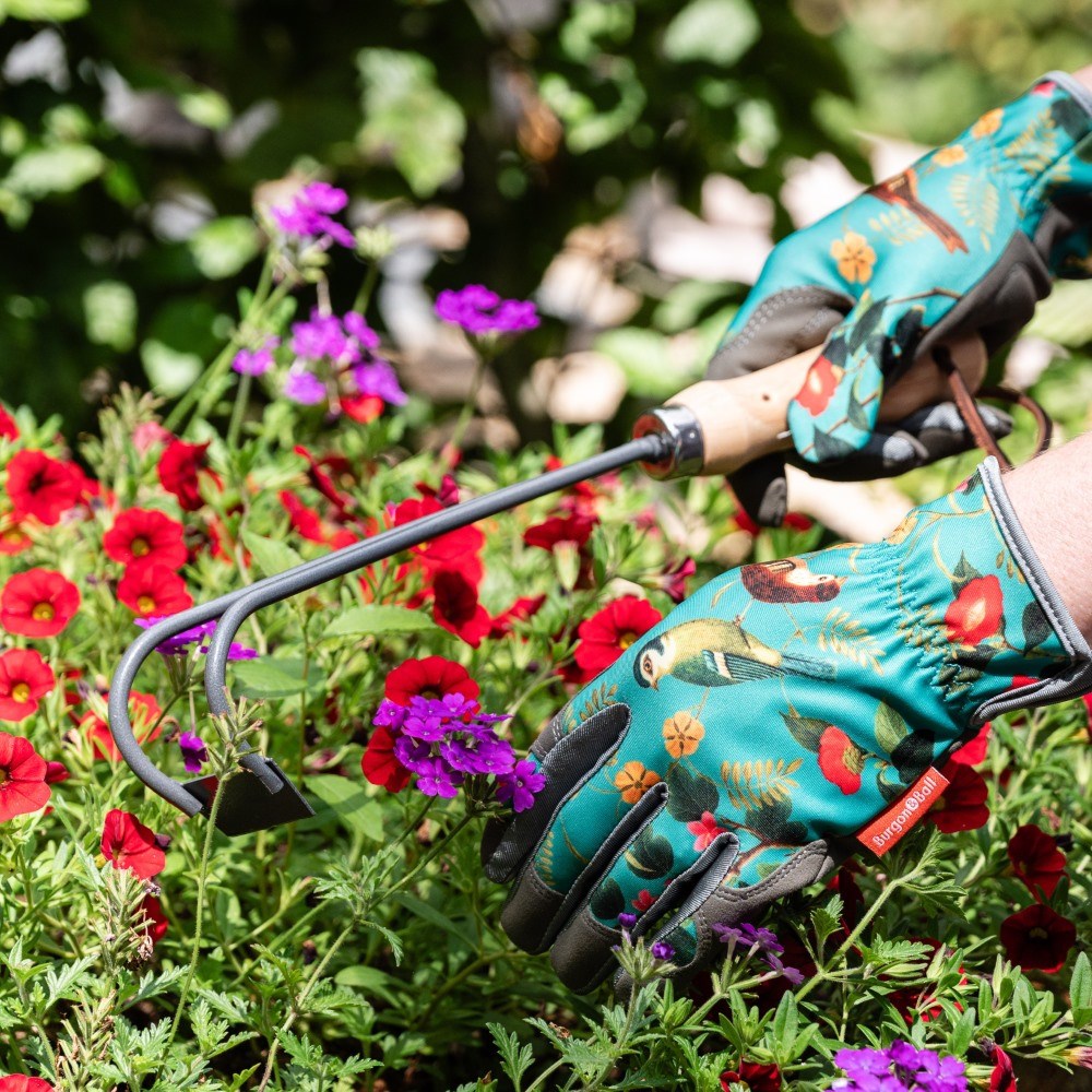 RHS Burgon and Ball container weeder