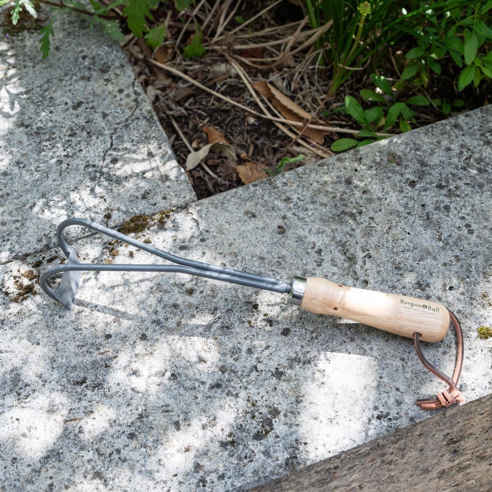 RHS Burgon and Ball container weeder