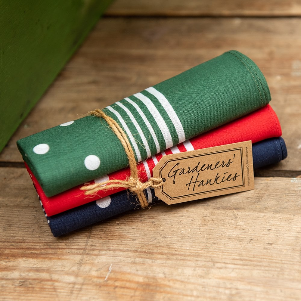 Product options image