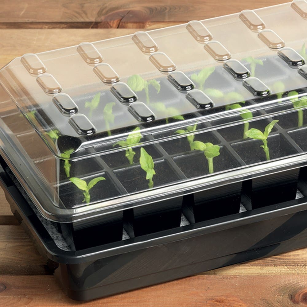 Ultimate 24 cell self watering seed success kit
