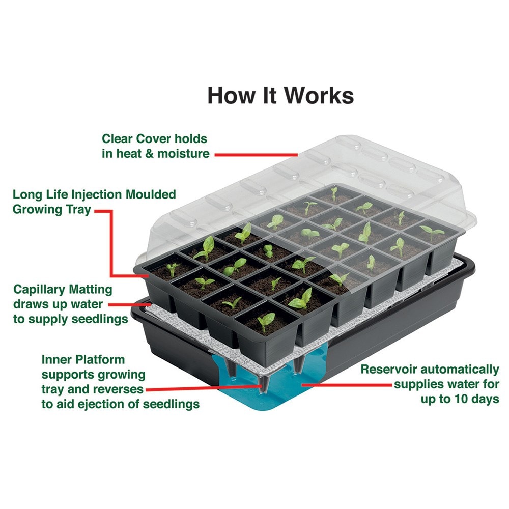 Ultimate 24 cell self watering seed success kit