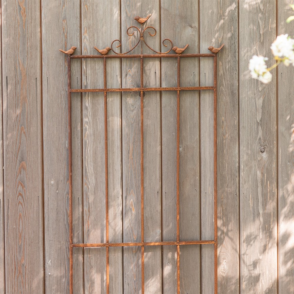 Product options image