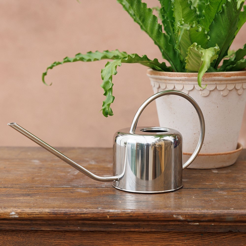 Indoor stainless steel watering can