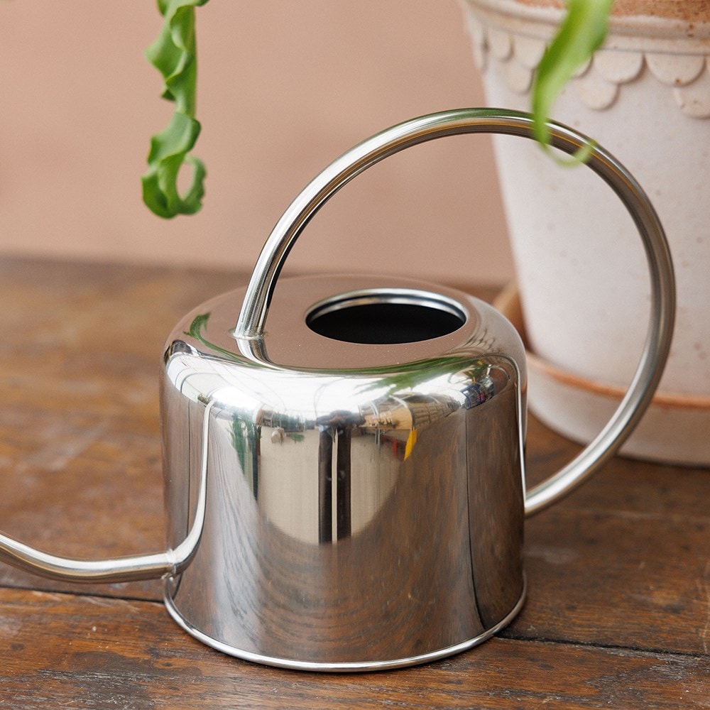 Indoor stainless steel watering can