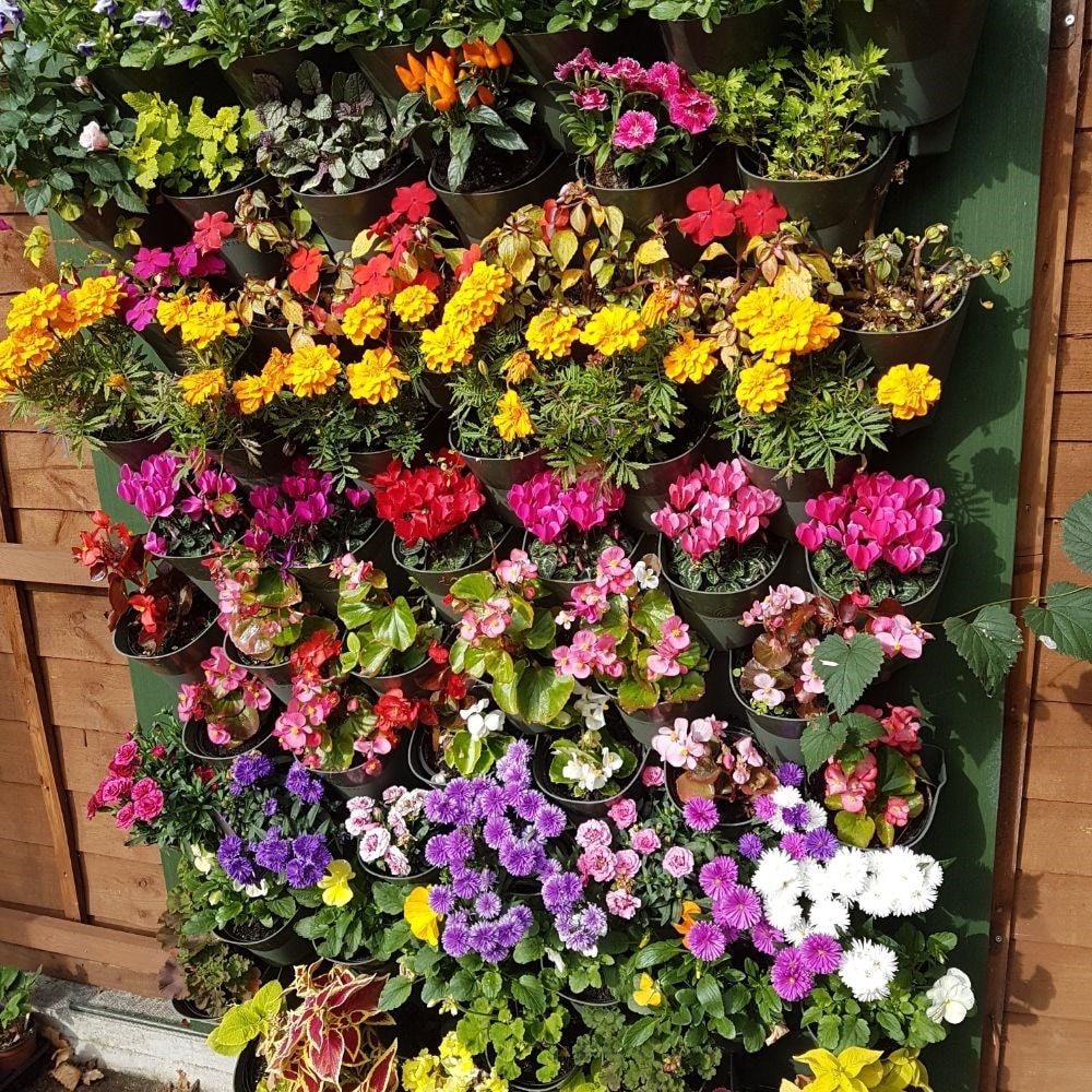 Product options image