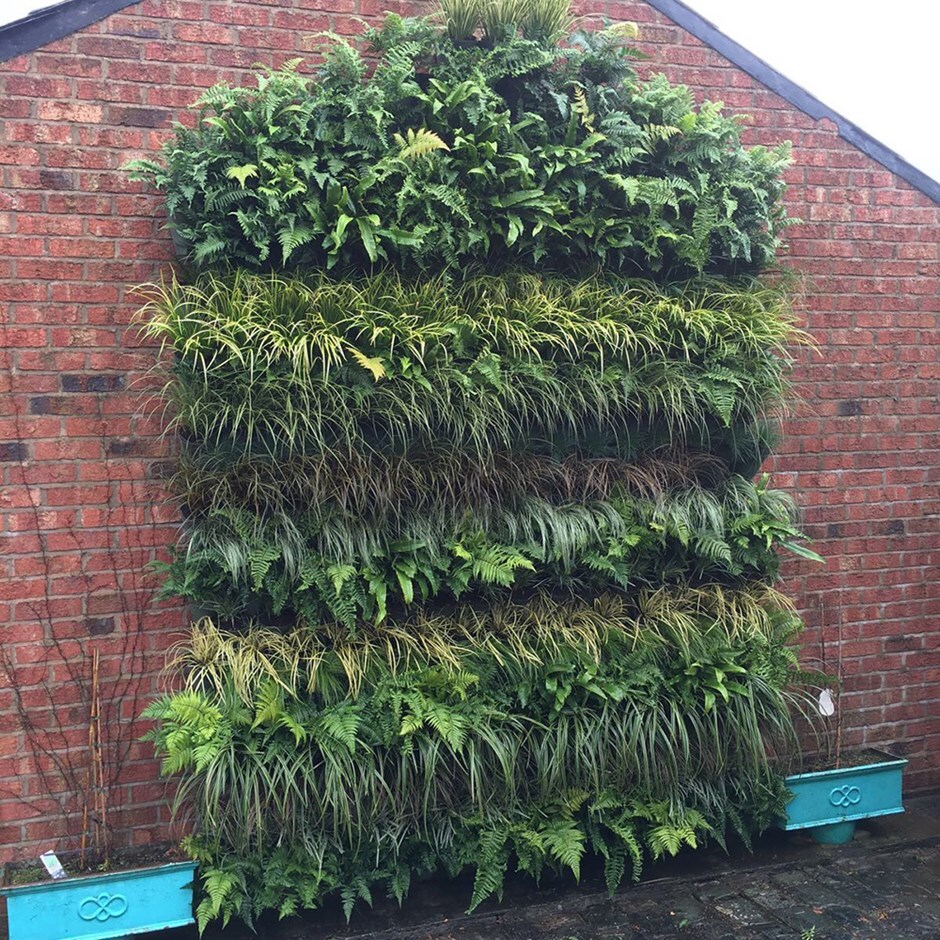 Buy Wonderwall vertical planting kit 2.5m Delivery by Waitrose Garden