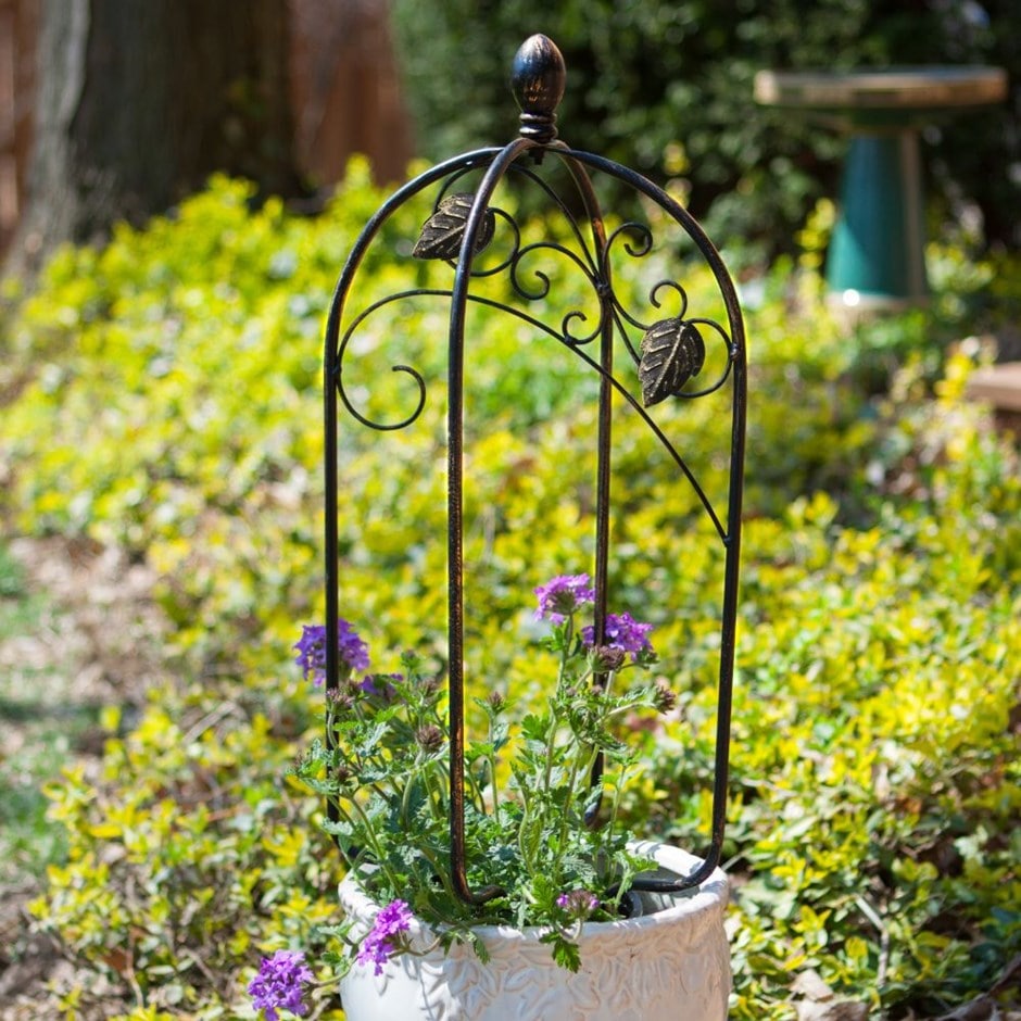 buy scroll and ivy mini pot trellis: delivery by waitrose