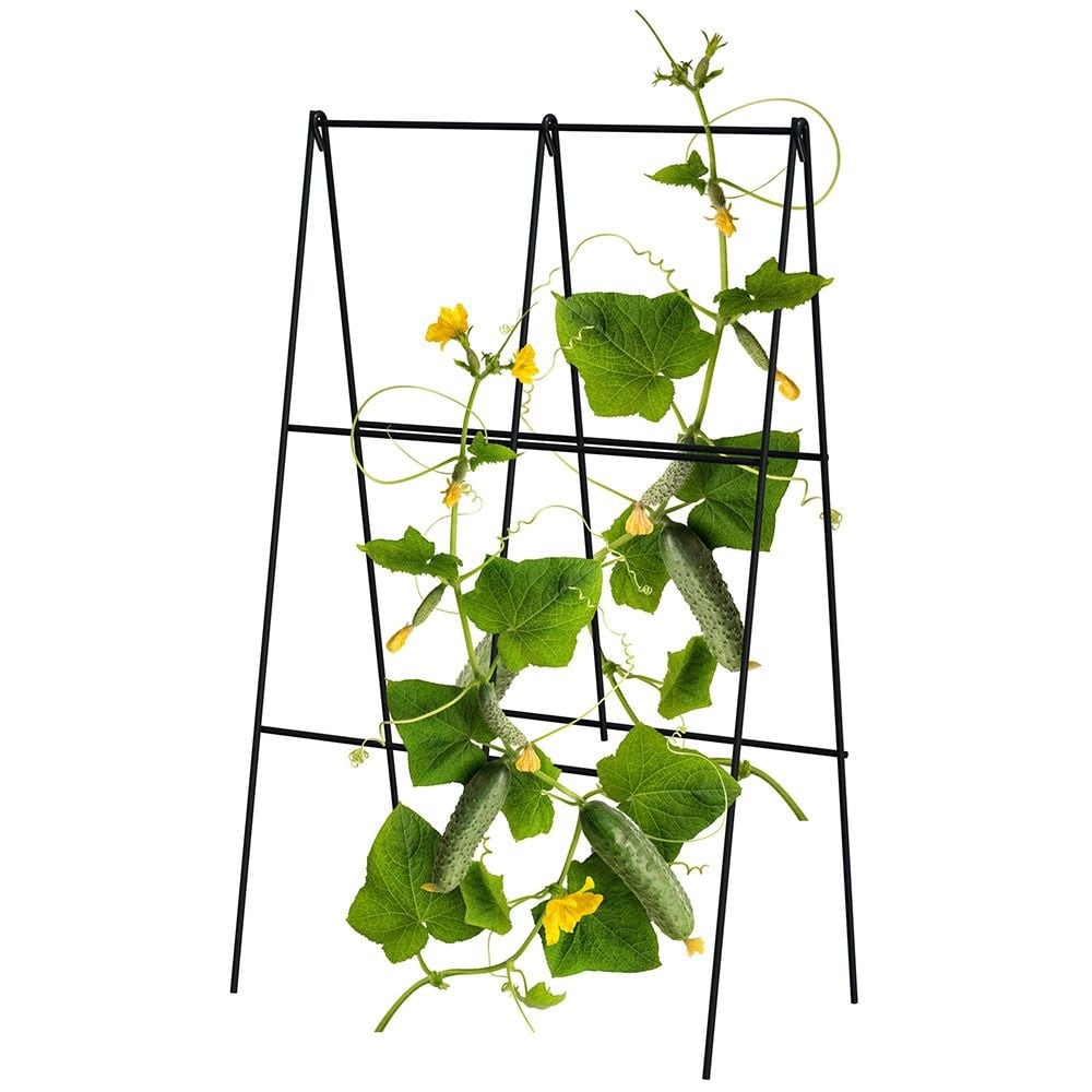 Folding A-frame cucumber trellis