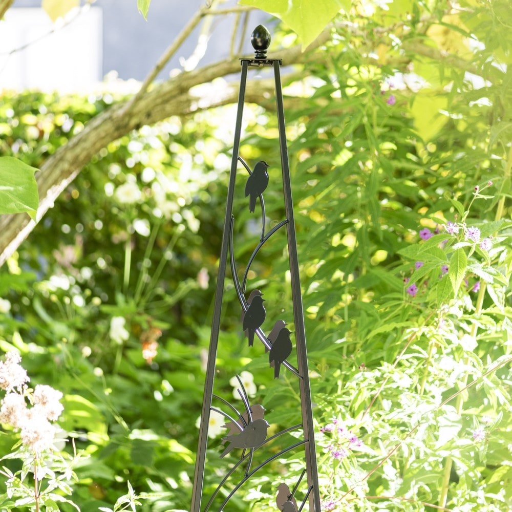 Product options image