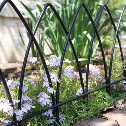 Buy Gothic arch garden edge: Delivery by Crocus