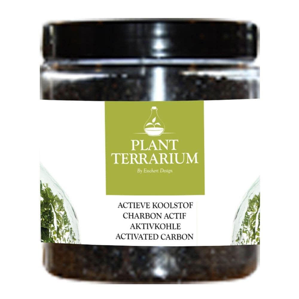 Plant terrarium charcoal