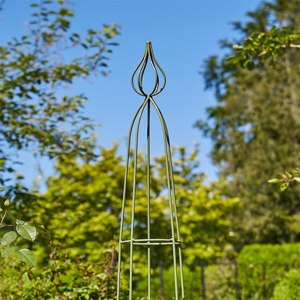 Product options image