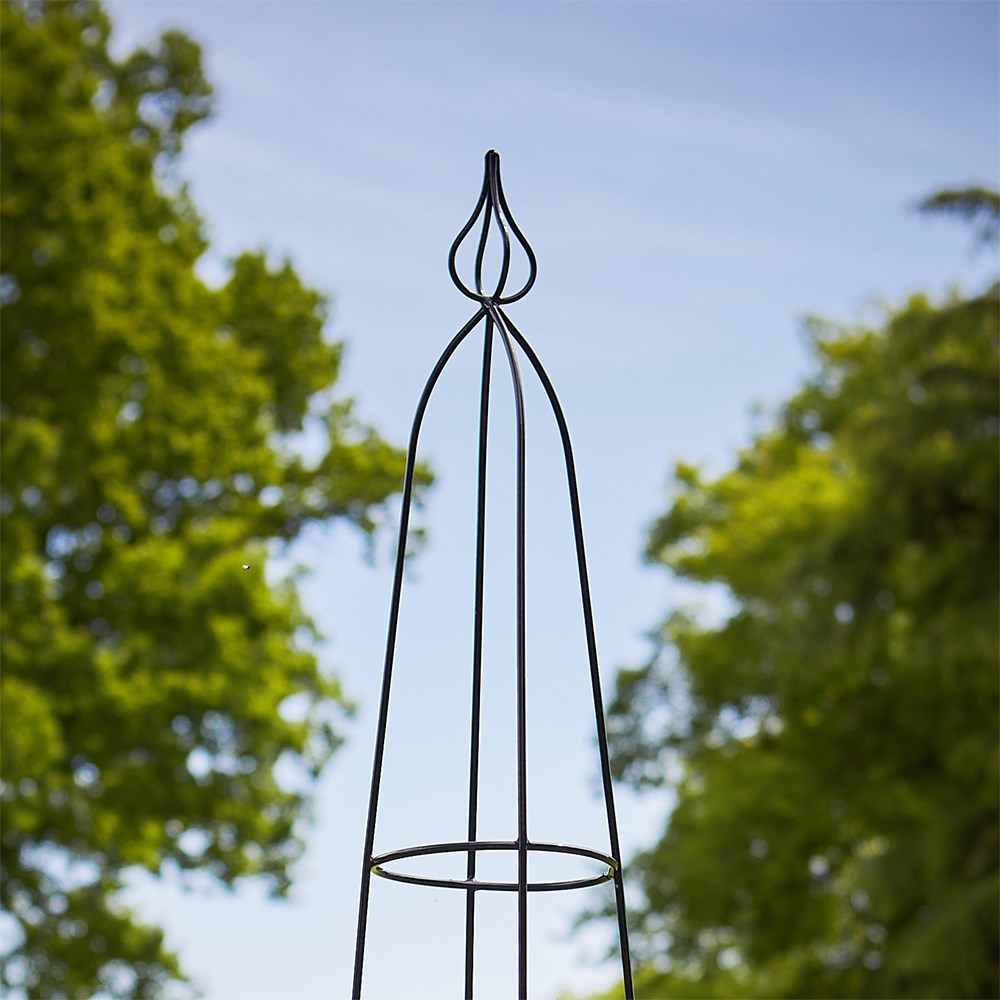 Product options image