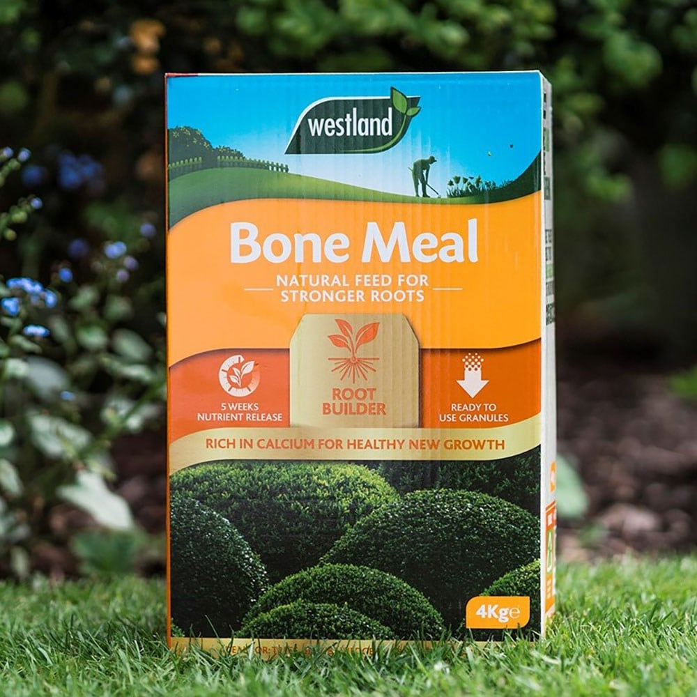 Product options image