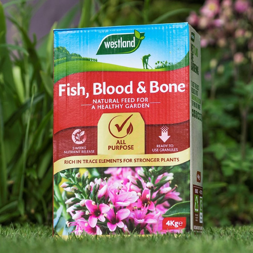 Product options image