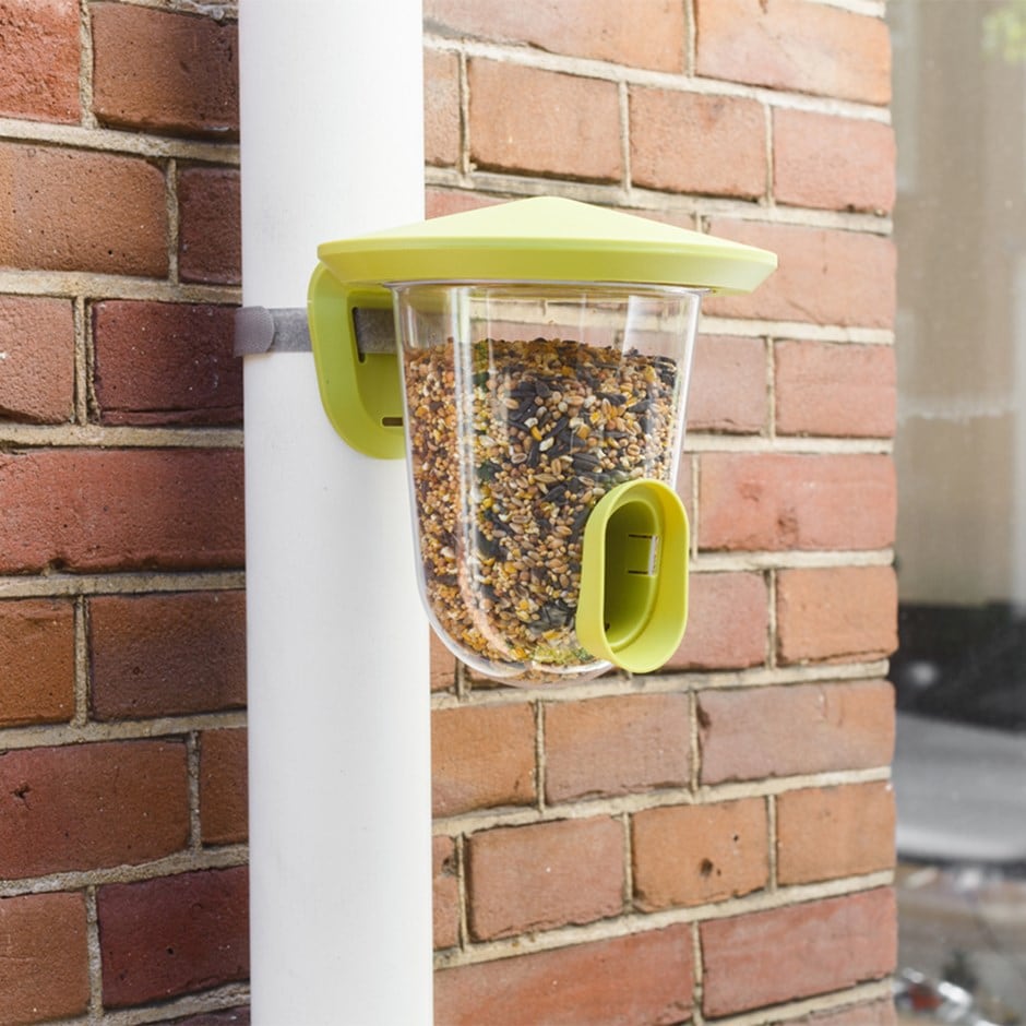 Buy Singing Friends Bird Feeder Delivery By Crocus