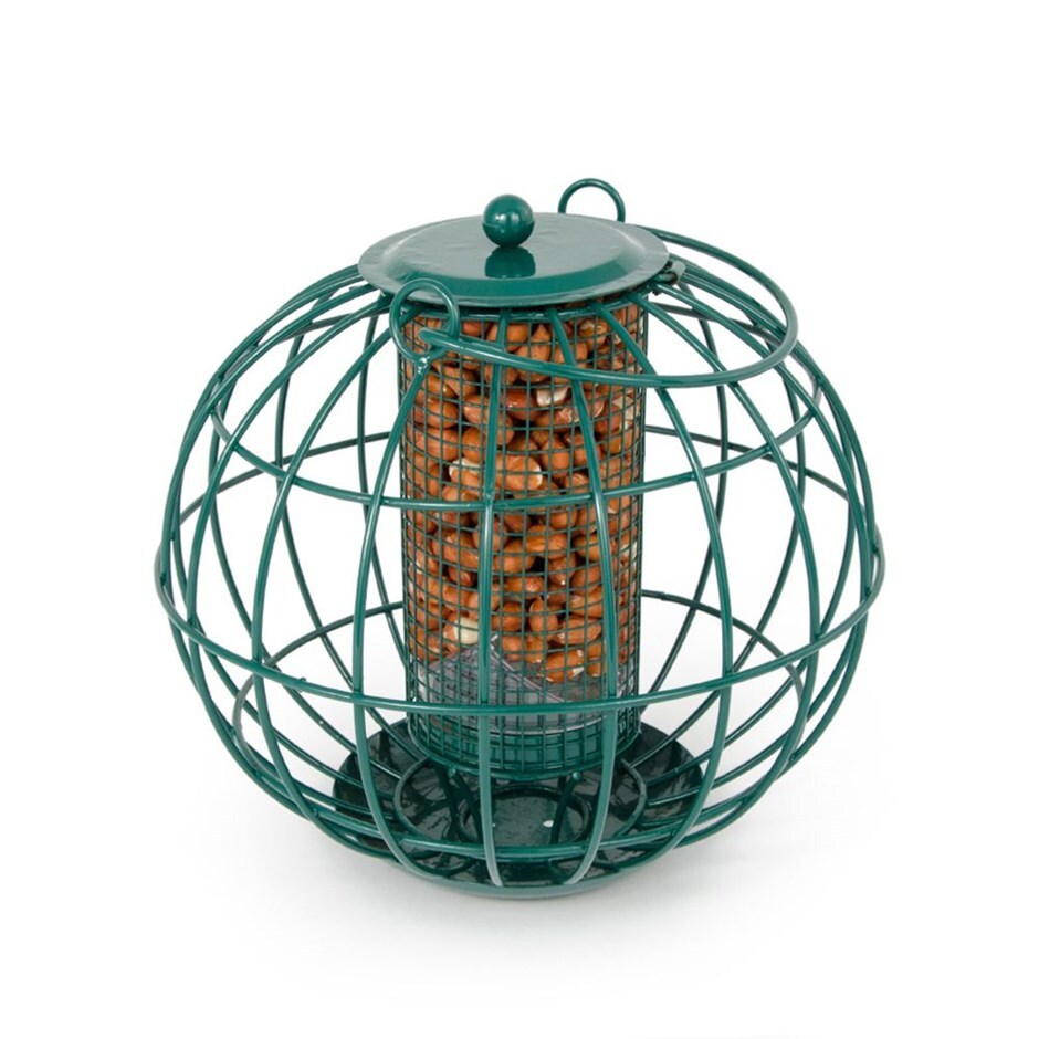 Buy Squirrel Resistant Peanut Feeder Delivery By Crocus