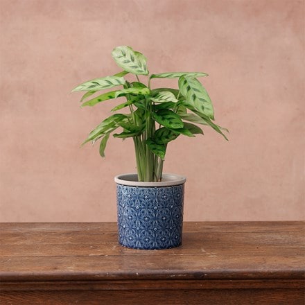 Glazed pot - porto dark blue